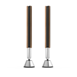 Bang & Olufsen Beolab 28 Wireless Stereo Speakers