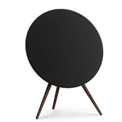 Bang & Olufsen Beosound A9 5th Gen